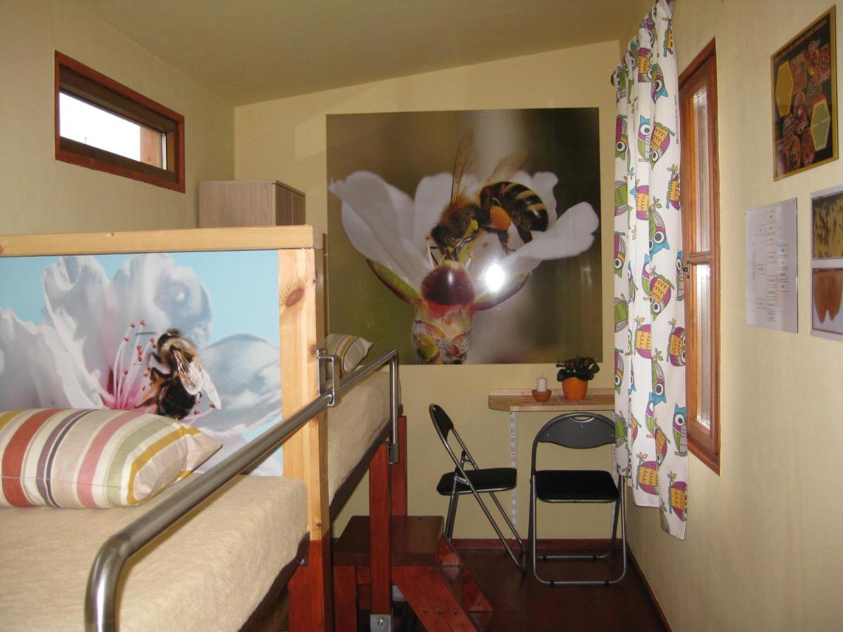 Apartmany Vcelka Hranice u Novych Hradu Exterior foto